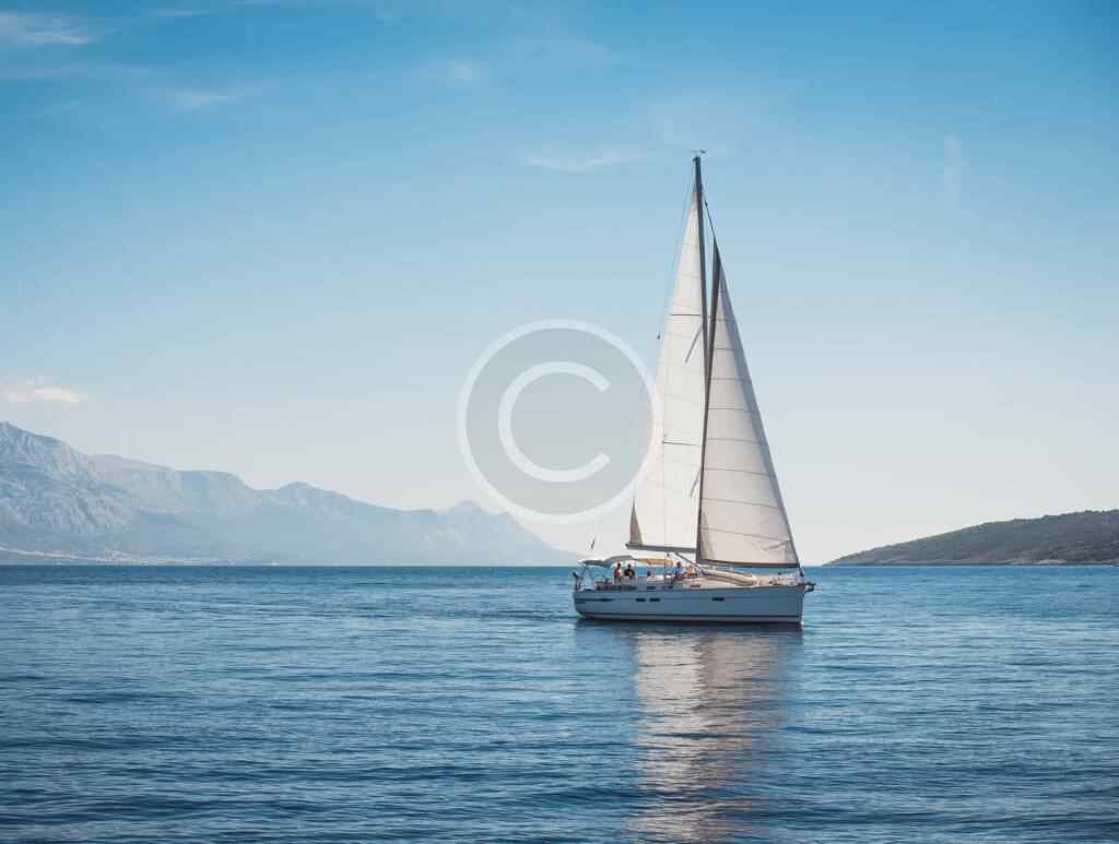 Cruise